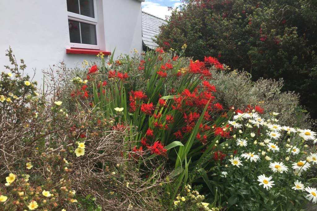 Red Stonecutters Cottage, Doolin Carrowauff المظهر الخارجي الصورة