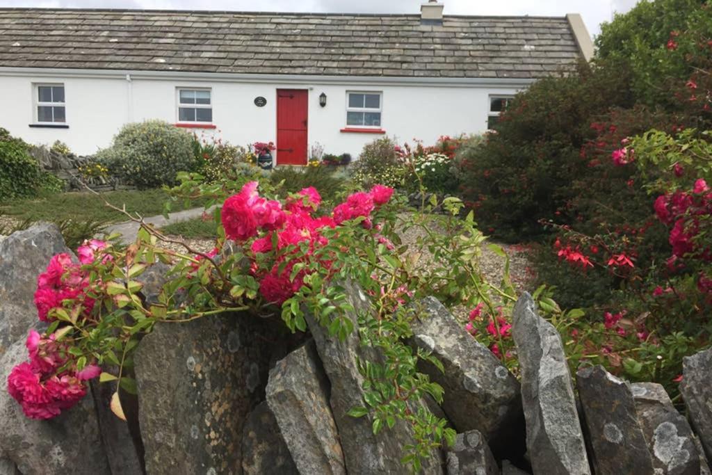 Red Stonecutters Cottage, Doolin Carrowauff المظهر الخارجي الصورة